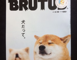 『犬だって。』